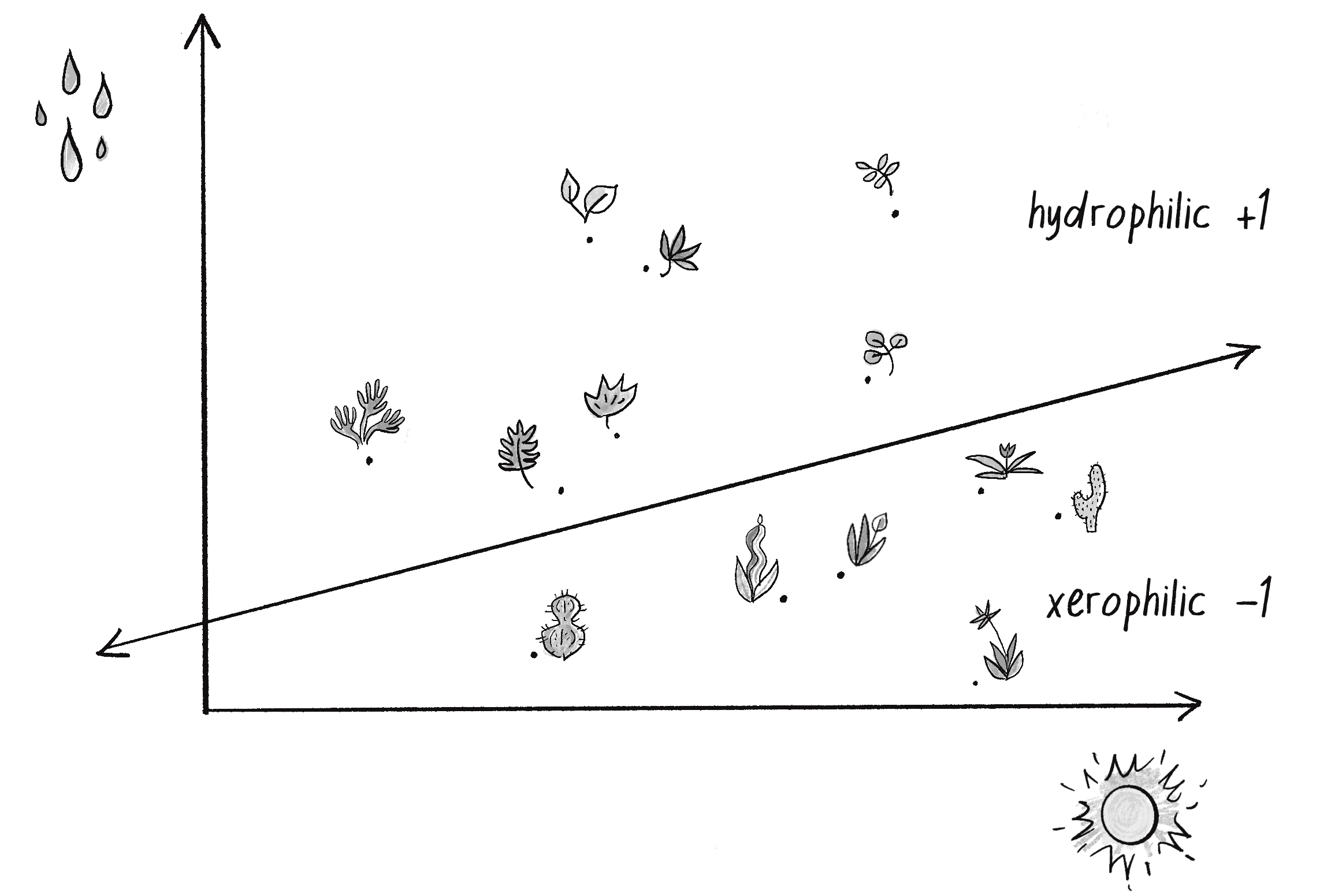 Figure 10.4: A collection of points in 2D space divided by a line, representing plant categories according to their water and sunlight intake